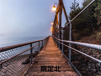 姚定北（流年不弃桑榆老）完整版小说阅读大结局_姚定北（流年不弃桑榆老）全文免费阅读笔趣阁
