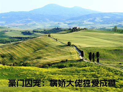 豪门囚宠：病娇大佬独爱成瘾（宫凌寒洛夕颜）最火婚恋小说-（宫凌寒洛夕颜）全文免费阅读笔趣阁