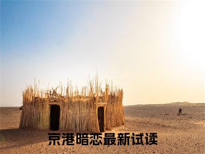 京港暗恋是什么小说-小说寒司宴温栀寒全文阅读