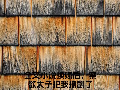 欧阳靖谢觅双（换嫁后，禁欲太子把我撩翻了）全文在线阅读无弹窗大结局_（换嫁后，禁欲太子把我撩翻了）最新章节列表_笔趣阁