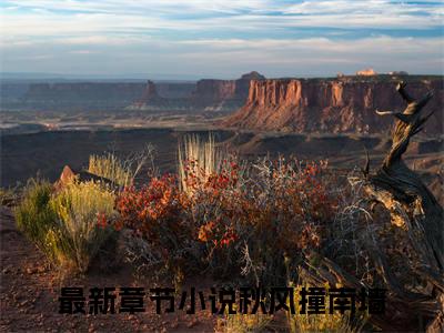 纪南丞许婧秋（秋风撞南墙）热门小说最新章节阅读-（纪南丞许婧秋）秋风撞南墙全文免费阅读