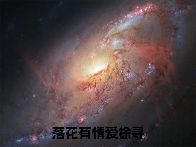 落花有情爱徐寻正版小说全文阅读沈寻陈落无删减版