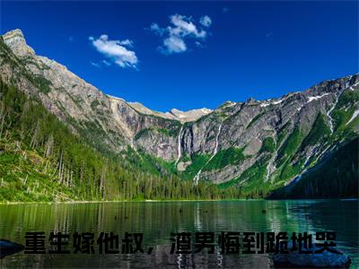 重生嫁他叔，渣男悔到跪地哭（沈眠音顾淮之）全文免费读无弹窗大结局_沈眠音顾淮之免费小说重生嫁他叔，渣男悔到跪地哭读无弹窗最新章节列表