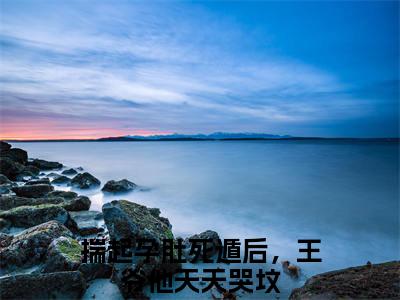 齐铭沈昭月小说全文免费阅读无弹窗大结局_齐铭沈昭月揣起孕肚死遁后，王爷他天天哭坟最新章节列表_笔趣阁（齐铭沈昭月）