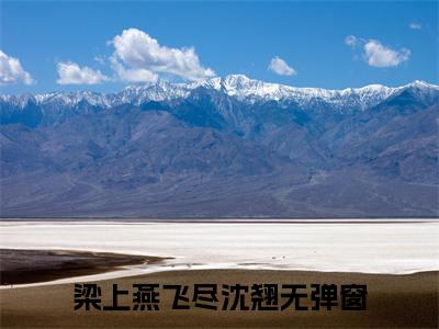 梁上燕飞尽沈翘大结局无广告 热门小说梁上燕飞尽沈翘全集免费阅读