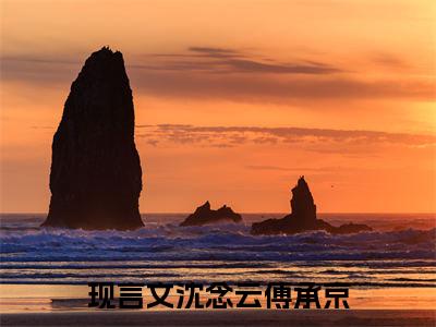 沈念云傅承京（沈念云傅承京小说）全文免费阅读无弹窗大结局_沈念云傅承京小说沈念云傅承京最新章节列表_（沈念云傅承京）