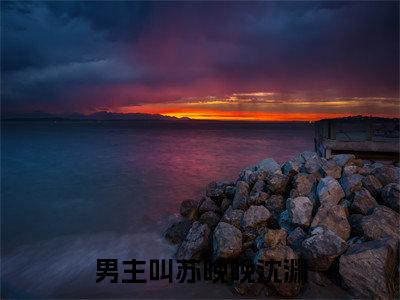 苏晚晚沈渊小说全文免费阅读（苏晚晚沈渊）全文免费阅读无弹窗大结局_(苏晚晚沈渊)苏晚晚沈渊小说免费阅读无弹窗最新章节列表_笔趣阁（苏晚晚沈渊）