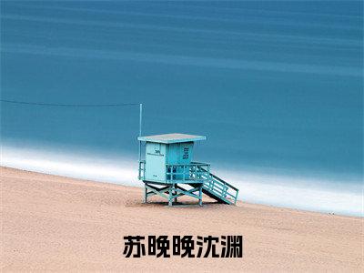 苏晚晚沈渊精彩小说（苏晚晚沈渊）在哪免费看-小说(苏晚晚沈渊)全文完整版免费阅读