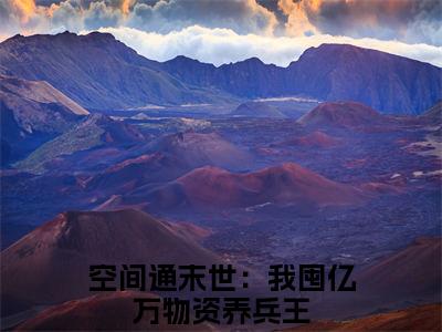 空间通末世：我囤亿万物资养兵王（夏晴苏御）全文免费阅读无弹窗大结局_空间通末世：我囤亿万物资养兵王免费试读阅读全文无弹窗
