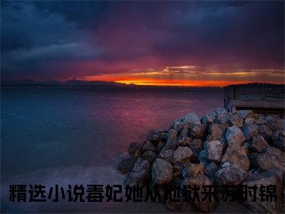 毒妃她从地狱来苏时锦笔趣阁免费小说_毒妃她从地狱来苏时锦笔趣阁全文阅读