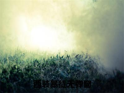 刘悦江城（西装暴徒）全文免费阅读无弹窗大结局_刘悦江城免费阅读无弹窗最新章节列表