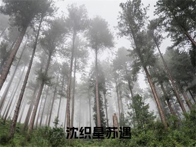 沈织星苏遇小说全文免费阅读（沈织星苏遇）全文免费阅读无弹窗_沈织星苏遇小说全文免费阅读_笔趣阁（沈织星苏遇）