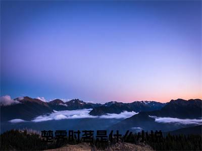 楚霁时茗（楚霁时茗）无广告免费阅读-楚霁时茗小说最后结局如何