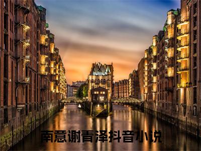 南意谢青泽（南意谢青泽）全集免费阅读无弹窗_南意谢青泽正版小说免费阅读