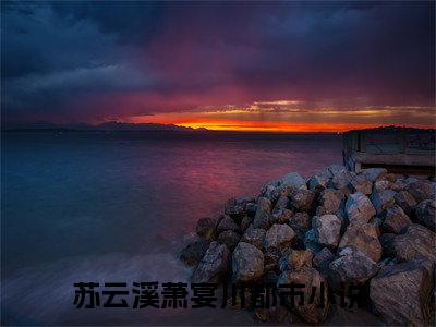 苏云溪萧宴川在线阅读的小说完整版-苏云溪萧宴川（苏云溪萧宴川）小说免费阅读