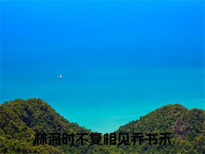 林深时不复相见乔书禾小说（已完结小说全集完整版大结局）小说全文阅读笔趣阁