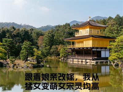 跟着娘亲改嫁，我从猛女变萌女宋灵均小说免费阅读-（跟着娘亲改嫁，我从猛女变萌女宋灵均）言情小说讲的是什么