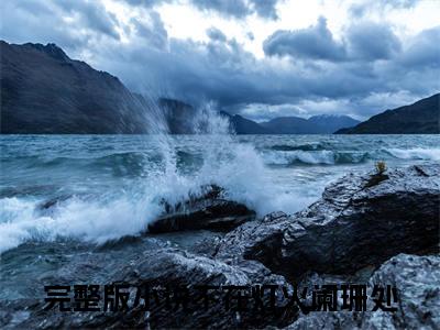 顾宁辰孟卓钰（不在灯火阑珊处）全文免费阅读无弹窗大结局_不在灯火阑珊处免费最新章节列表_笔趣阁