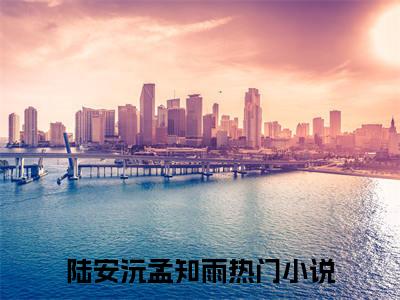 小说(陆安沅孟知雨)免费阅读-陆安沅孟知雨小说全文在线赏析