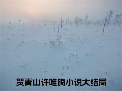 贺青山许唯旖的小说(贺青山许唯旖)最新章节全文免费阅读_笔趣阁
