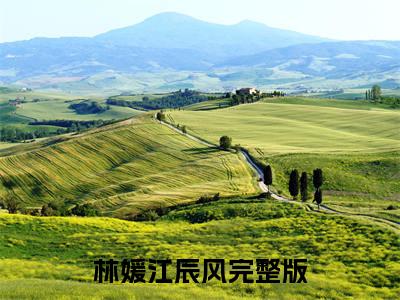 林媛江辰风全文免费阅读无弹窗大结局_（千金袭来在线阅读）林媛江辰风最新章节完整版阅读