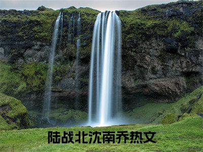 陆战北沈南乔全文免费阅读无弹窗大结局_（陆战北沈南乔）完整版全文在线赏析