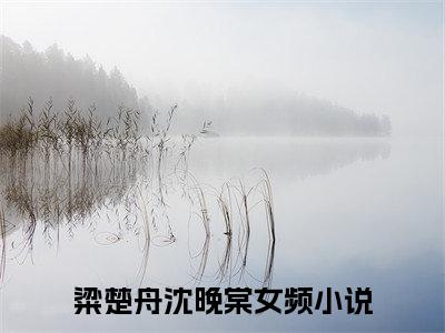 粱楚舟沈晚棠(粱楚舟沈晚棠）全文免费粱楚舟沈晚棠读无弹窗大结局_ 粱楚舟沈晚棠免费读最新章节列表_笔趣阁