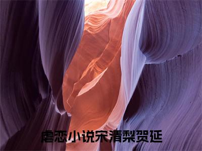 宋清梨贺延（宋清梨贺延）全文小说在线阅读-宋清梨贺延全章节最新阅读