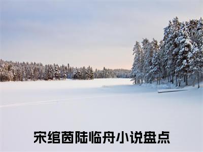 宋绾茵陆临舟全文免费阅读_（宋绾茵陆临舟免费阅读无弹窗）宋绾茵陆临舟最新章节列表笔趣阁（宋绾茵陆临舟）