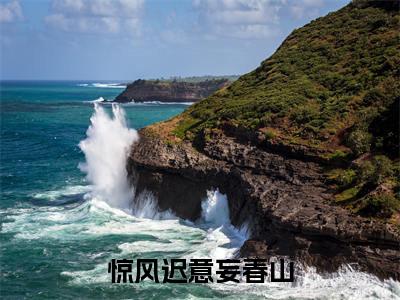 云渺鹤寻小说全文免费阅读-（惊风迟意妄春山）抖音新书热荐云渺鹤寻全文免费阅读