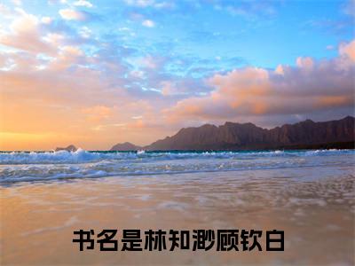 林知渺顾钦白（林知渺顾钦白）全文免费阅读无弹窗大结局-（林知渺顾钦白）林知渺顾钦白全文完结版阅读