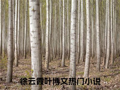 （徐云霞叶博文）全文免费阅读无弹窗大结局_徐云霞叶博文免费小说最新章节列表笔趣阁（徐云霞叶博文）