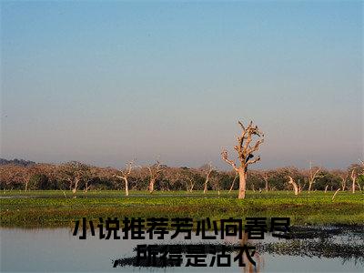 莫青思萧子成全文免费无弹窗大结局_芳心向春尽，所得是沾衣免费莫青思萧子成最新章节列表_笔趣阁