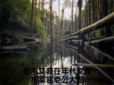 我在年代文里抱军官老公大腿（顾盼沈晏）全文免费阅读无弹窗大结局_（我在年代文里抱军官老公大腿）顾盼沈晏小说在线阅读无删减