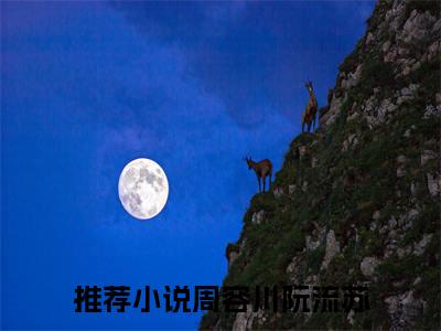 流年深深深几许周容川阮流苏最新章节免费阅读-流年深深深几许小说推荐周容川阮流苏精彩章节在线阅读