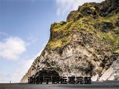 全网热搜（谢舒宁顾远寒）是什么小说_主角是（谢舒宁顾远寒）的小说（谢舒宁顾远寒）最新章节无弹窗阅读