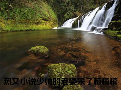 少帅的老婆来了林楠楠在线阅读（少帅的老婆来了林楠楠小说）全文免费阅读无弹窗大结局_少帅的老婆来了林楠楠免费最新章节列表_笔趣阁（少帅的老婆来了林楠楠小说）