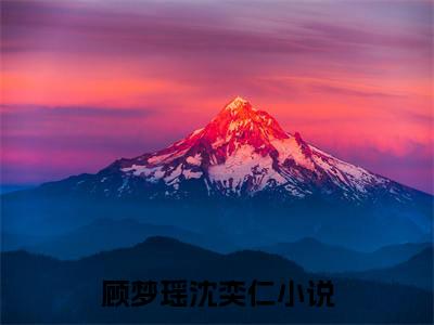 《顾梦瑶沈奕仁》最新章节_顾梦瑶沈奕仁全文阅读