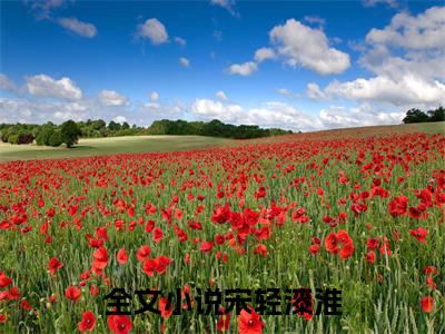 抖音热推新书宋轻漆淮-抖音热推宋轻漆淮无弹窗阅读
