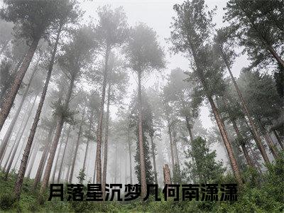 月落星沉梦几何南潇潇精彩小说月落星沉梦几何南潇潇大结局全本免费阅读