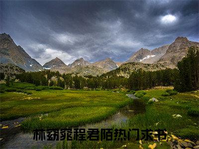 《林窈窕程君陌》全文免费阅读最新章节大结局-林窈窕程君陌 全文全章节免费阅读