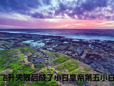 飞升失败后成了小白皇帝第五小白免费阅读大结局无弹窗-小说推荐飞升失败后成了小白皇帝第五小白精彩章节在线阅读