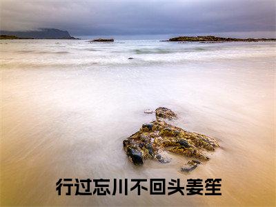 行过忘川不回头姜笙免费阅读，主角为行过忘川不回头姜笙的言情小说