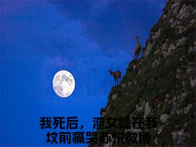 我死后，渣女跪在我坟前痛哭苏悦全文（我死后，渣女跪在我坟前痛哭苏悦）完整版小说阅读_我死后，渣女跪在我坟前痛哭苏悦全本列表免费笔趣阁（我死后，渣女跪在我坟前痛哭苏悦）