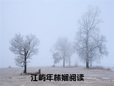 江屿年林娴小说在线阅读-小说（江屿年林娴）免费观看