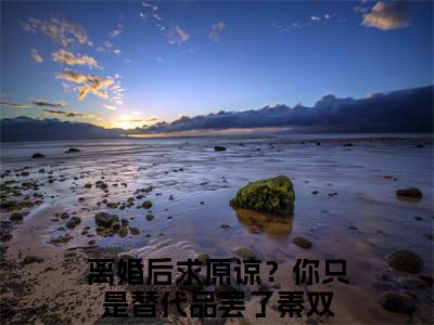 离婚后求原谅？你只是替代品罢了秦双免费离婚后求原谅？你只是替代品罢了秦双读无弹窗最新章节列表_笔趣阁（离婚后求原谅？你只是替代品罢了秦双）