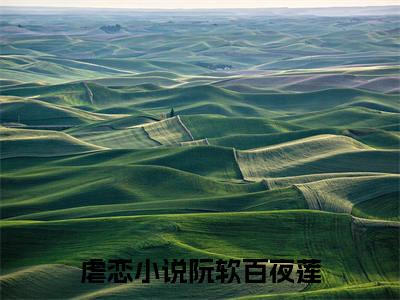 阮软百夜莲（阮软百夜莲）全文免费阅读无弹窗大结局-阮软百夜莲最新章节列表-笔趣阁