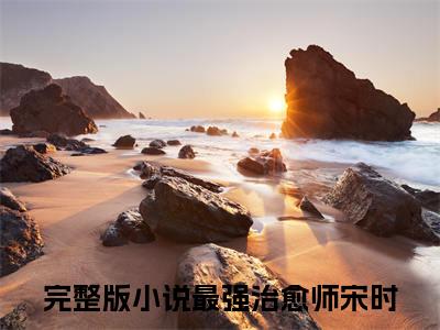 热推新书最强治愈师宋时小说全文（最强治愈师宋时）全文免费阅读_最强治愈师宋时最新章节无弹窗阅读