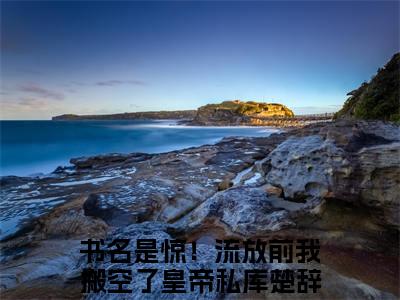 惊！流放前我搬空了皇帝私库楚辞免费阅读无弹窗 惊！流放前我搬空了皇帝私库楚辞最新章节