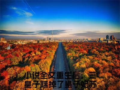 重生后，三皇子踹掉了皇子妃苏璟屹小说好看吗-重生后，三皇子踹掉了皇子妃苏璟屹热门小说大结局阅读